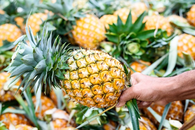 Dojrzały ananas sprzedaje na rynku owoców