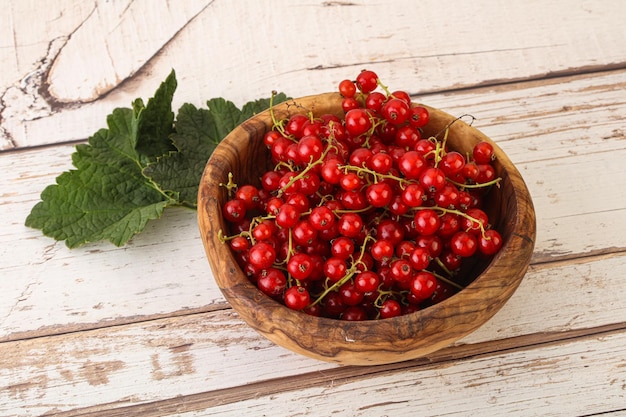 Dojrzały, słodki, naturalny, organiczny, czerwony korzeń