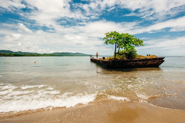 Dok Otoczony Wodą Z Drzewem Na Szczycie W Playa Negra, Puerto Viejo De Talamanca, Kostaryka.