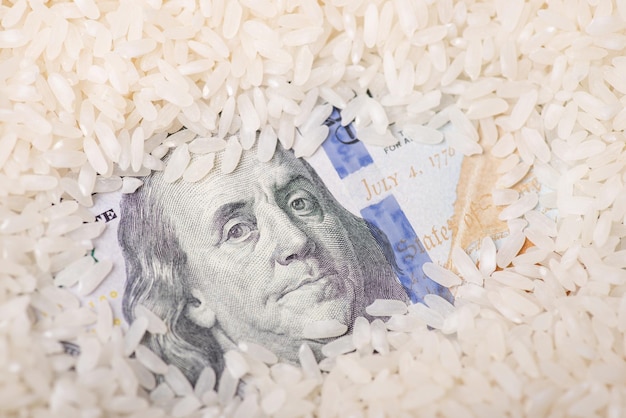 Zdjęcie dolar w ziarnach ryżu