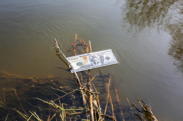 Dolary w rzece Pranie pieniędzy Banknoty w wodzie