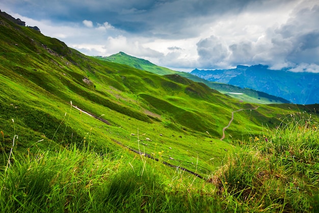 Dolina Lauterbrunnen Oberland Berneński Szwajcaria