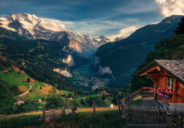 Dolina Lauterbrunnen w Alpach Szwajcarskich widziana z alpejskiej wioski Wengen