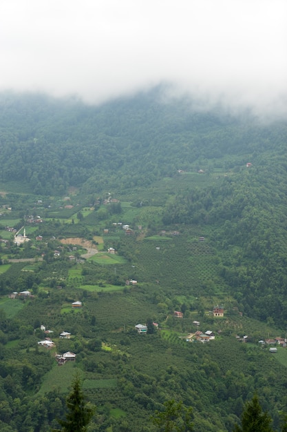 Dolina Macahel we wschodnim Morzu Czarnym Artvin Turcja