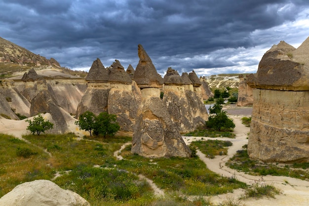 Dolina Róż W Turcji Goreme