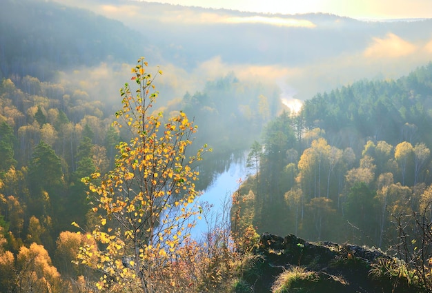 Dolina rzeki Berd u podnóża grzbietu Salair Nowosybirsk Region Syberia Rosja
