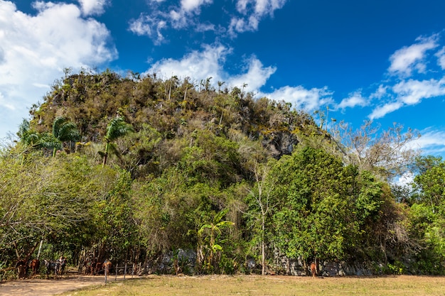 Dolina Vinales