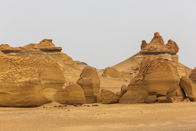 Dolina Wielorybów lub Wadi Al-Hitan. Stanowisko paleontologiczne w gubernatorstwie Fajum w Egipcie