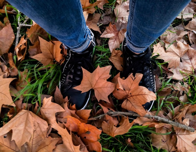 Zdjęcie dolna część osoby stojącej na liściach jesienią
