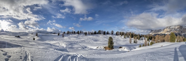 Dolomity śnieżna panorama drewniana chata val badia armentarola