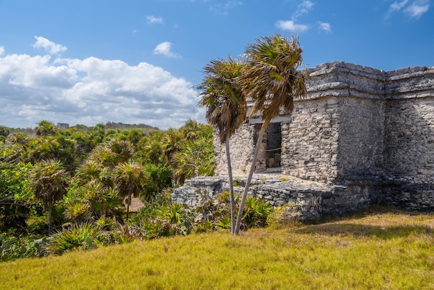 Dom Cenote Ruiny Majów w Tulum Riviera Maya Jukatan Morze Karaibskie Meksyk