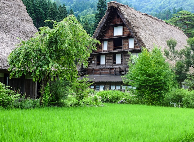 Dom Gassho-zukuri, Historyczna wioska Shirakawa-go w lecie, Japonia