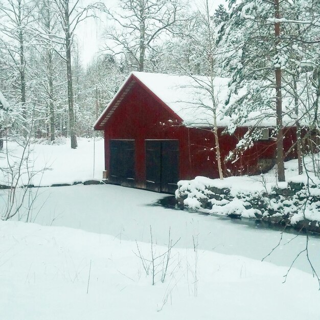 Zdjęcie dom i drzewa na pokrytym śniegiem krajobrazie