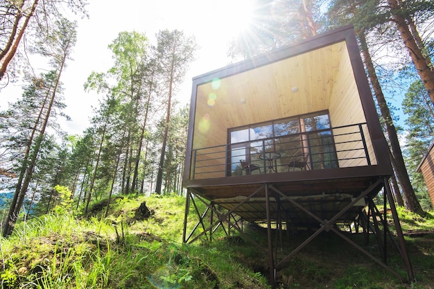 Dom lub hotel z panoramicznymi oknami w sosnowym lesie piękny letni poranek z lekką, słoneczną naturą