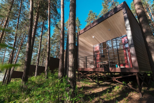 Dom Lub Hotel Z Panoramicznymi Oknami W Sosnowym Lesie Piękny Letni Poranek Z Lekką, Słoneczną Naturą