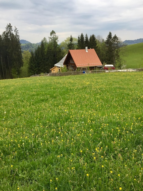 Dom na polu przeciwko niebu