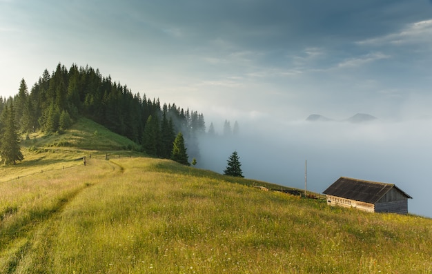 Dom na wzgórzu, mgła