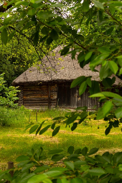 Zdjęcie dom we wsi. dom kozacki. kultura ukraińska