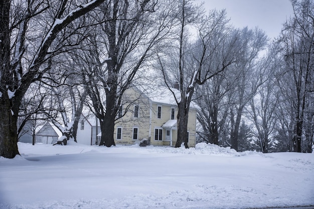 Dom wśród drzew w zimie Zdjęcie