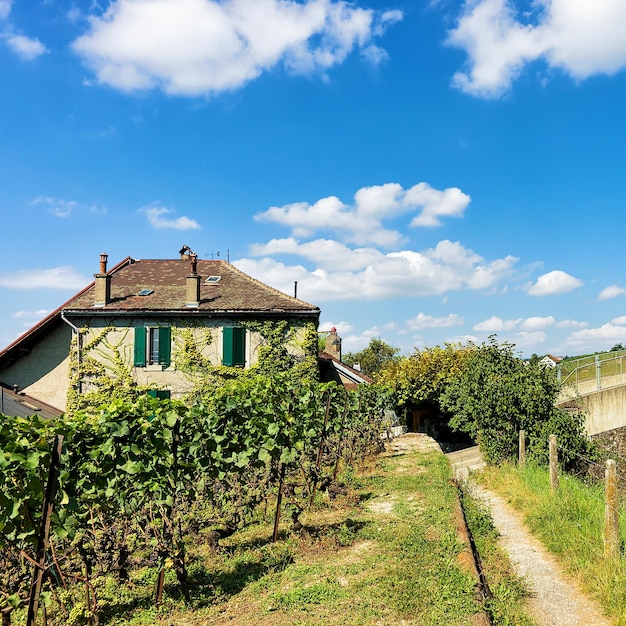 Domek na szlaku turystycznym Lavaux Vineyard Terraces, dzielnica Lavaux-Oron, Swiss