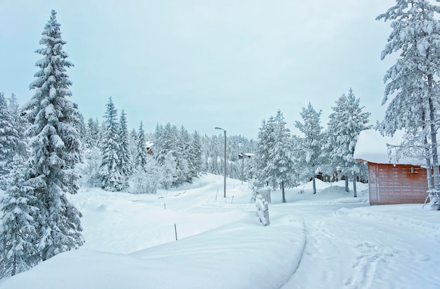 Domki i drzewa w zaśnieżonej Ruce w Finlandii na kole bieguna polarnego