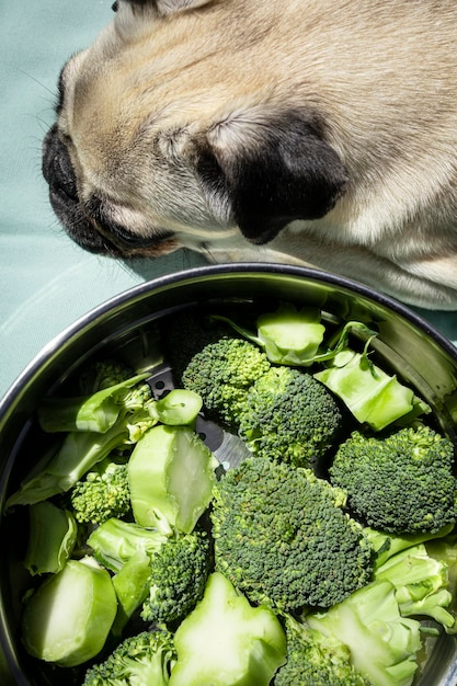 Domowa karma dla psów Owoce i warzywa odpowiednie dla psów Psy i warzywa