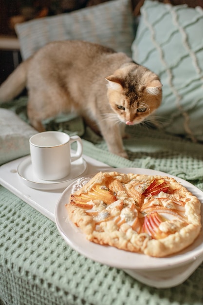 Domowe jedzenie, przekąski na obiad, stół kuchenny z jedzeniem