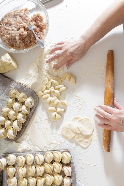 Domowe Pierogi W Kuchni Bez Ozdób. Robienie Pierogów Z Mieloną Wieprzowiną, Wołowiną I Kurczakiem