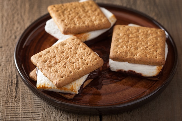 Zdjęcie domowe s'mores ptasie mleczko z czekoladą na krakersach