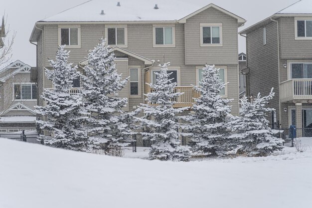Domy mieszkalne za pokrytymi śniegiem drzewami bożonarodzeniowa scena