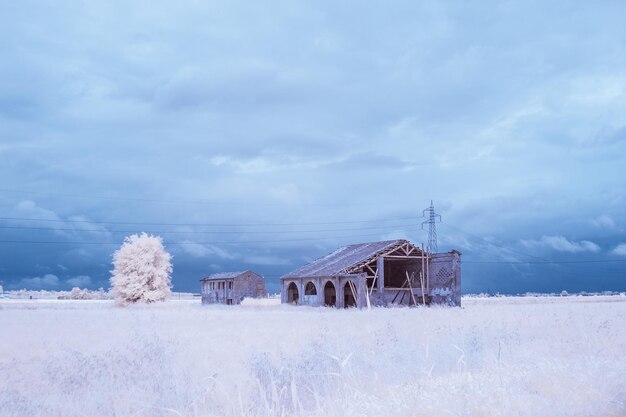 Zdjęcie domy na polu przeciwko niebu w zimie