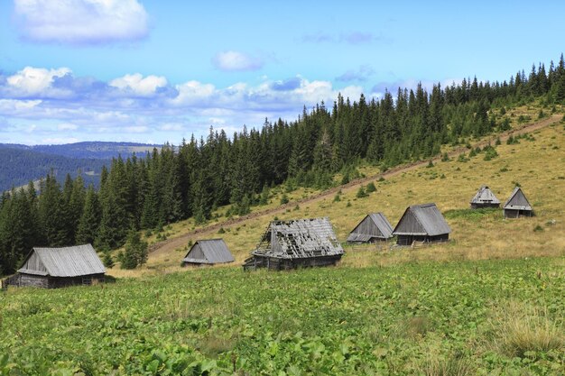 Zdjęcie domy na trawiastym polu na tle nieba