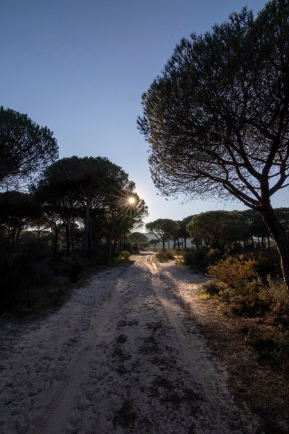 Doñana to hiszpański chroniony obszar naturalny położony w prowincjach Huelva, Sewilla i Kadyks.