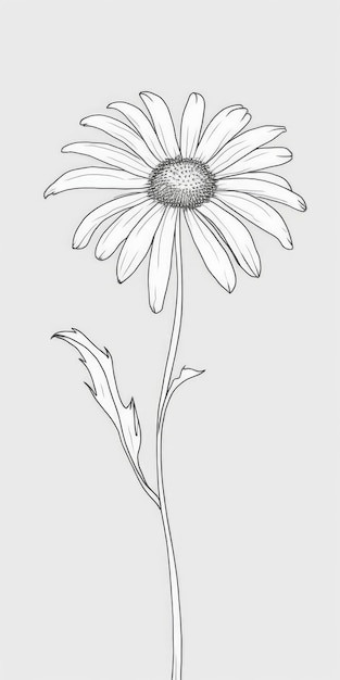 Doodle prosty kwiat stokrotki na białym tle