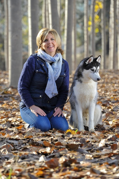 Dorosły husky syberyjski w lesie z suchymi liśćmi