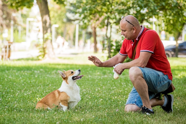 Dorosły mężczyzna trenuje swojego psa walijskiego corgi pembroke w parku miejskim