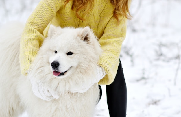 Dość młoda kobieta w Snowy Winter Forest Park Walking Walking z jej Dog White Samoyed Seasonal