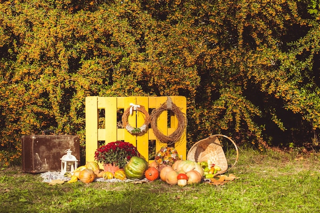 Dożynki Jesienne - Kosz Z Jesiennymi Owocami, Stara Walizka, Dynie I Kolorowe Jesienne Kwiaty. Projekt Krajobrazu W Stylu Wiejskim Na Sezon Jesienny.