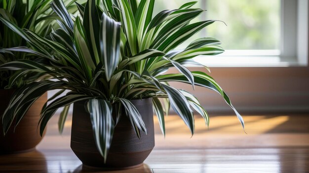 Zdjęcie dracaena trifasciata na podłodze w pokoju generowany przez ai