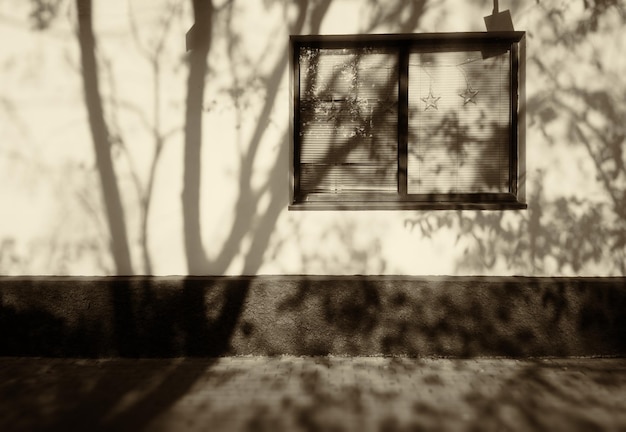 Zdjęcie dramatyczny cień drzewa na tle ściany domu w sepii