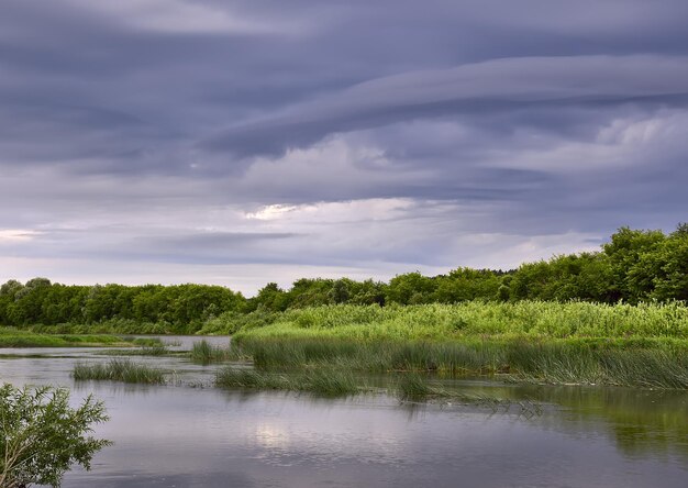 Dramatyczny krajobraz nad rzeką Yin z wroną w chmurach Region Nowosybirsk Syberia Rosja