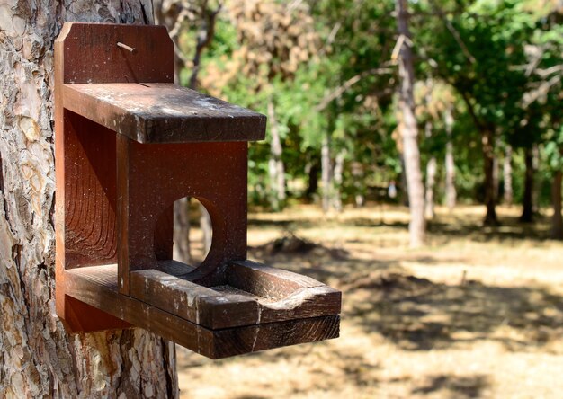 Drewniana budka dla ptaków lub karmnik przymocowany do drzewa w parku.