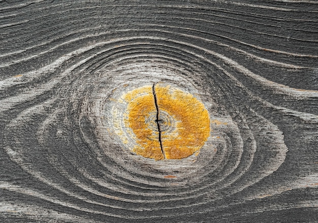 Drewniana deska szary tekstura z pomarańczowym złamanym okręgiem w centrum.