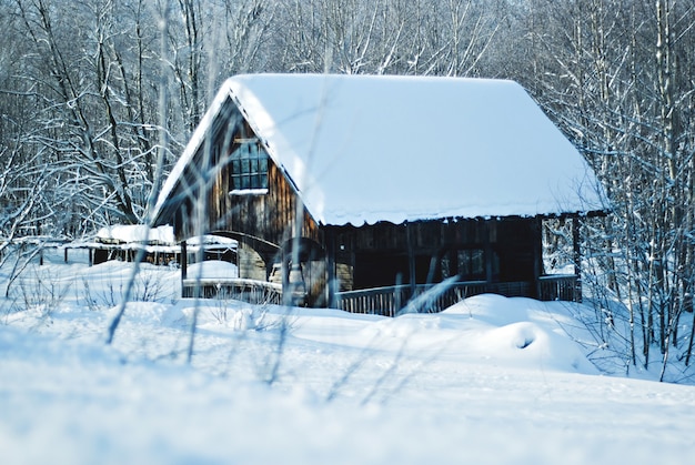 Drewniana kabina zimowa w lesie