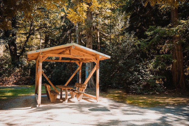 Drewniana konstrukcja altany w lesie Pusta ławka na polu drzewami