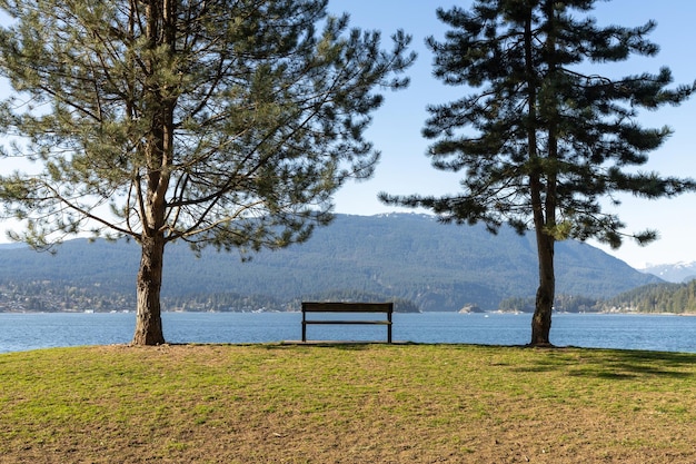 Drewniana ławka między dwoma drzewami Barnet Marine Park w słoneczny dzień Burrard Inlet shore Burnaby