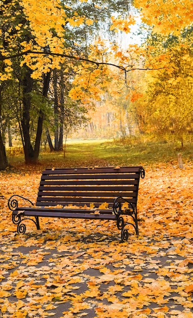 Drewniana ławka w parku w słoneczny jesienny dzień