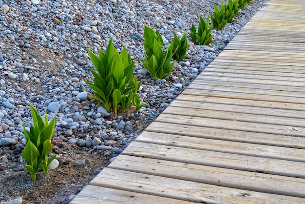 Drewniana podłoga na kamienistej plaży