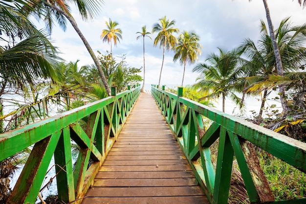 Drewniana promenada na tropikalnej plaży w Kostaryce, Ameryce Środkowej