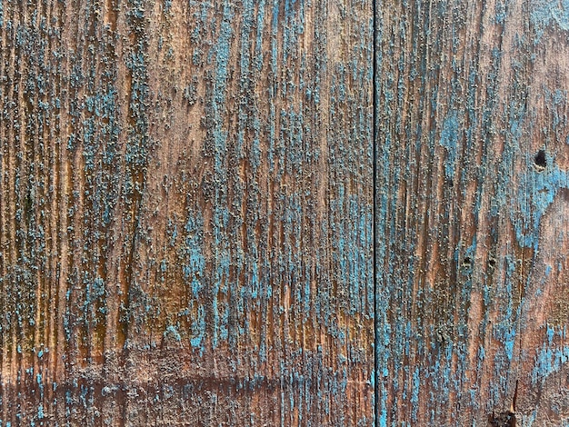 Drewniana ściana z niebieską farbą, na której widnieje słowo „drewno”.